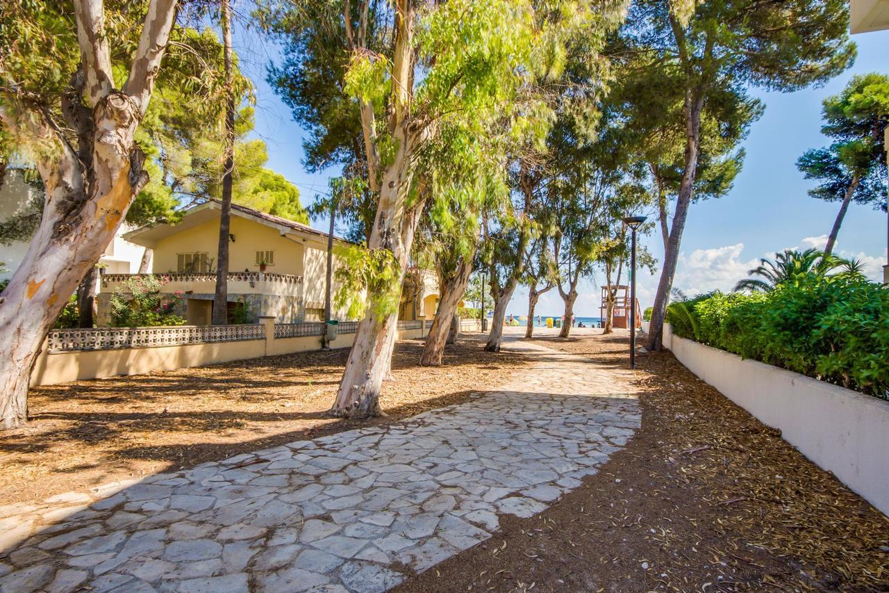 Hébergement de vacances Ideal Mallorca - Rosita 12 *